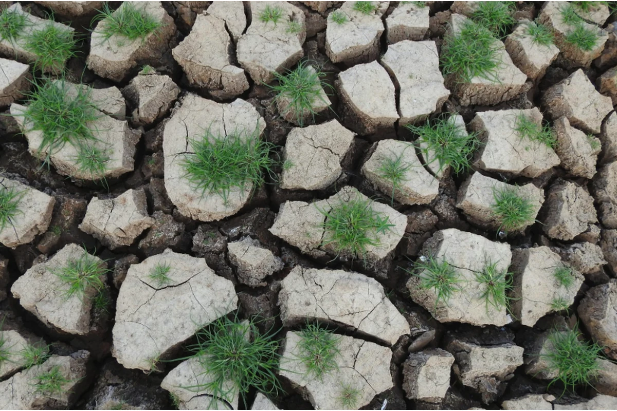 Análisis de agua de riego para agricultura