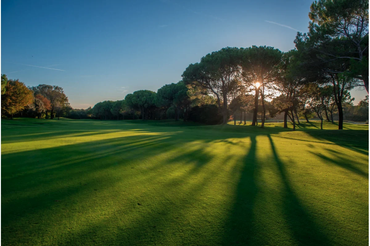Campo de golf y control analítico del suelo