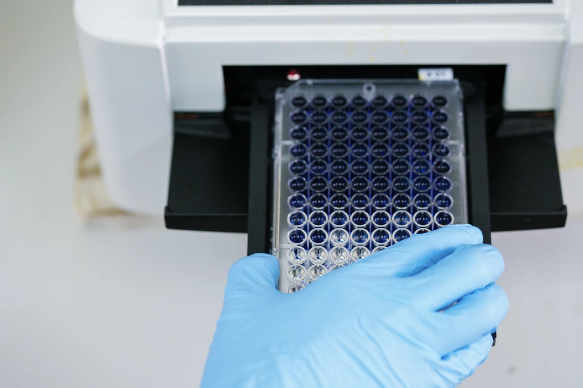 Análisis ELISA veterinarios - Laboratorio POLiGEN